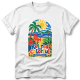 Retired and Colorful ~ Comfort Colors Premium Tee thumbnail 9