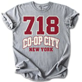 718 Co-Op City NY Tee thumbnail 1