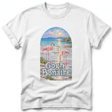 Gogh Bonaire ~ Comfort Colors Premium Tee thumbnail 9