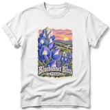 Bluebonnet Bliss ~ Comfort Colors Premium Tee thumbnail 9
