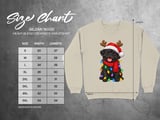 Black Pug Dog Santa Hat Reindeer Antlers Red Scarf Christmas Lights Standard T-Shirts thumbnail 13