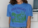 Arkansas The Natural State Vintage Graphic Tee thumbnail 10