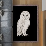Barn Owl Blanket thumbnail 3