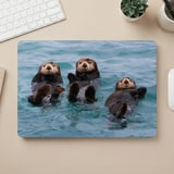 Floating Sea Otters MacBook Case thumbnail 5