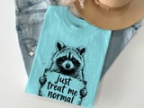 Just Treat Me Normal Raccoon T-Shirt, Funny Animal Lover Tee, Sarcastic Introvert Humor Graphic Shirt, Unique Wildlife Gift Apparel thumbnail 7