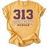 313 Highland Park Michigan Tee thumbnail 13