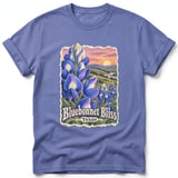 Bluebonnet Bliss ~ Comfort Colors Premium Tee thumbnail 10