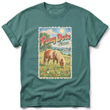Pony Dots ~ Comfort Colors Premium Tee thumbnail 8