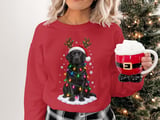 Black Labrador Retriever Christmas Dog Reindeer Antlers Santa Hat Holiday Lights Graphic Standard T-Shirts thumbnail 3
