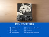 Black and White Cats Blanket,  Cat Lover Gift, Cozy Woven  Blanket, Cat Decor Tapestry Blanket thumbnail 13