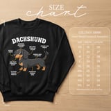 Funny Dachshund Anatomy Tee thumbnail 9