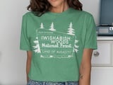 Iwishabish Woods Land of Audacity Graphic Tee thumbnail 8