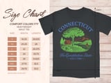 Connecticut: The Constitution State Graphic Tee thumbnail 7