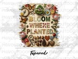 Bloom Where Planted Tumbler PNG Digital, 20oz Sublimation Design for Straight & Tapered Cups, Botanical Scrapbook Collage Art thumbnail 9
