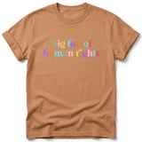 Big Fan of Human Rights Tee thumbnail 22