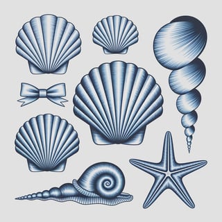 Blue Seashells and Starfish Artwork