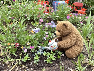 Bear in a Flower Garden