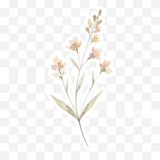 Minimal Watercolor Wildflower Sprig