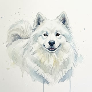 Watercolor Samoyed Dog Portrait