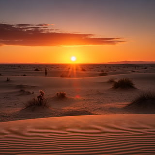 Vast Desert Sunset Scene