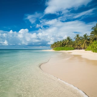 Summer Beach Scene Photo