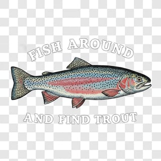 Vintage Rainbow Trout Illustration