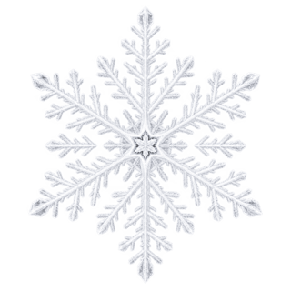 White Snowflake Close-Up