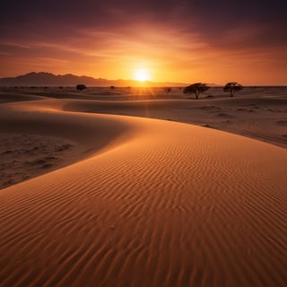 Vast Desert Sunset Scene