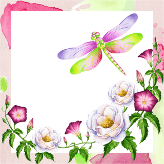 Watercolor Illustration of Dragonfly and Flowers