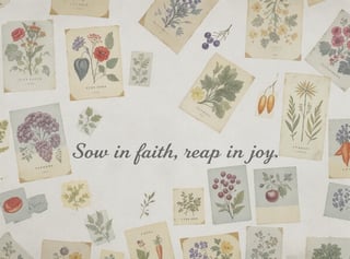Vintage Seed Packet Collage Art