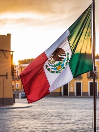 Mexican Flag Without Pole