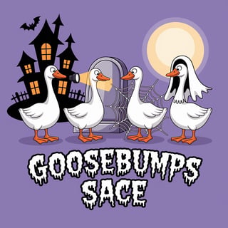 Halloween Cartoon Geese Illustration