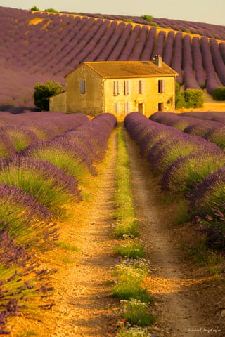 Peaceful French Countryside Scene