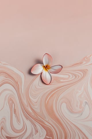 Pink Plumeria Flower on Pastel Swirls