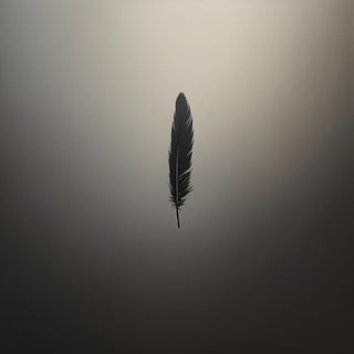 Falling Black Feather in Gray Sky