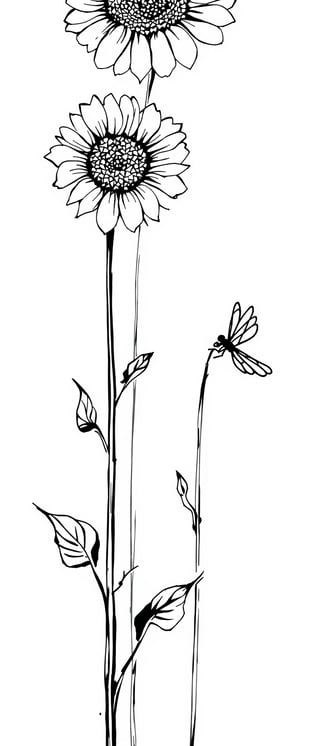 Black Line Art Sunflowers and Dragonfly