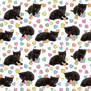 Photo-Realistic Black Kittens with Hearts