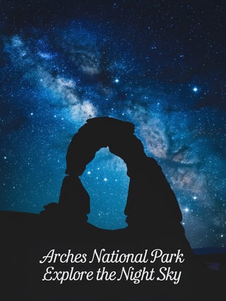 Starry Night at Arches National Park