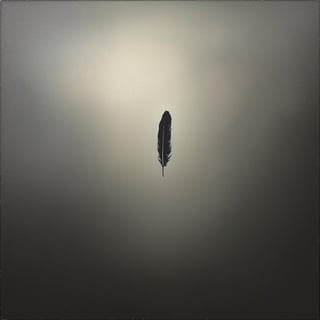 Falling Black Feather in Gray Sky