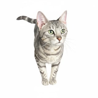 Watercolor Cat Portrait