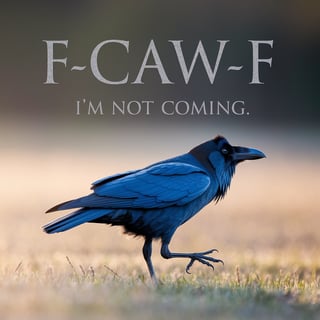 Sassy Raven Walking Away