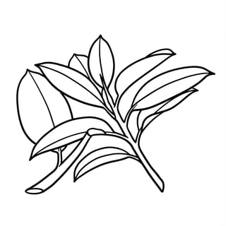 Minimalist Rubber Tree Line Art