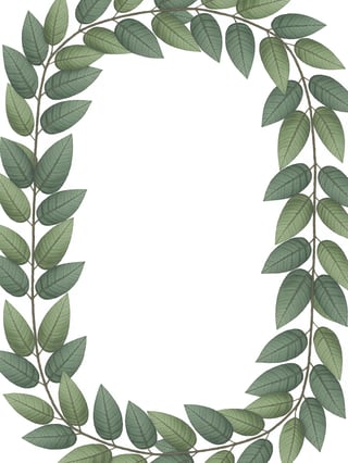 Realistic Leaf Sprigs Frame