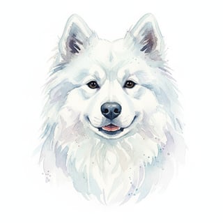 Watercolor Samoyed Dog Portrait