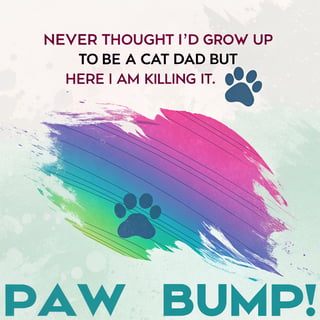 Proud Cat Dad: Embrace the Journey