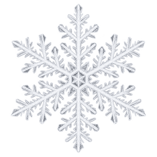 White Snowflake Close-Up