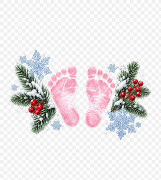 Pink Footprints, Transparent Background