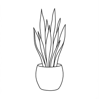Minimalist Snake Plant Line Art