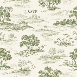 J. Sage Meadow Toile Pattern