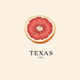 Minimalist Texas Ruby Red Grapefruit Art